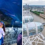 Win a family day out to the London Eye and SEA LIFE London Aquarium