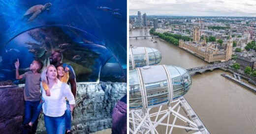 Win a family day out to the London Eye and SEA LIFE London Aquarium