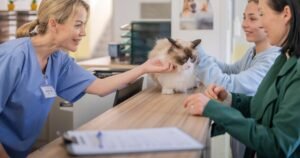 UK family-run vet practice announces closure of all branches | UK | News