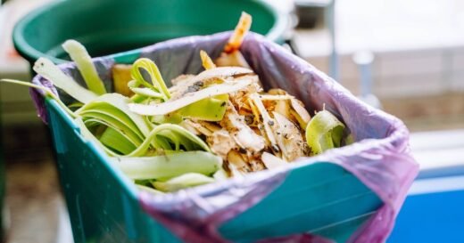 Binman shares best way to stop maggots in your food waste bin