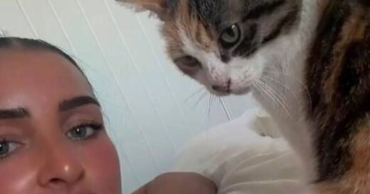 Family ‘heartbroken’ when cat went missing 10 years ago – until 1 call