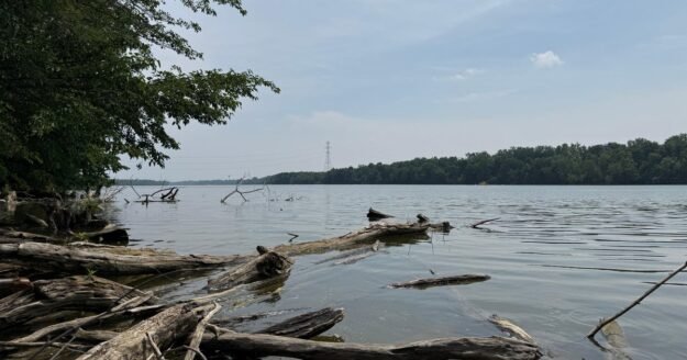 5 drown in Ohio’s Scioto River as child runs for help