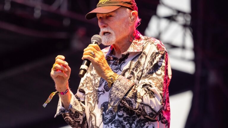 The Beach Boys Pull Remaining Summer Concert Dates to ‘Recharge’ 