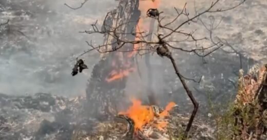 Europe facing “brunt of climate change impacts” as wildfires continue to burn, professor explains