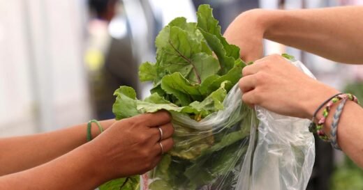 Expert on why the cyclospora parasite has been so hard to track