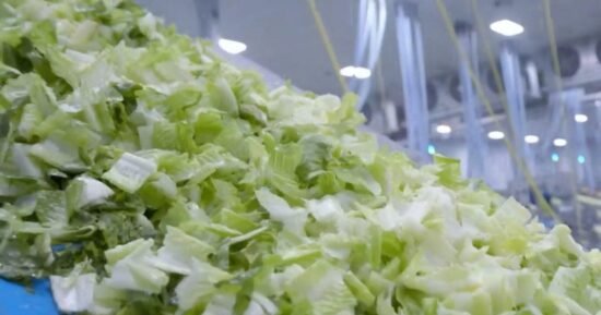 Taylor Farms reportedly shut down Mexican processing facility linked to cyclospora outbreak