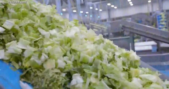 Sample of Taylor Farms lettuce that tested positive for cyclospora was false positive, FDA says
