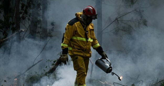 France wildfire evacuations lift as weather improves, but George Clooney among thousands still displaced