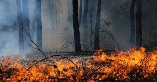 Wildfires in France and Spain force 200,000 to flee as crews continue to battle untamed blazes
