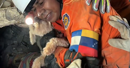 Dog rescued alive from rubble 5 days after Venezuela earthquakes, video shows