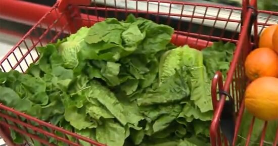 How Trump admin cuts have compromised food safety