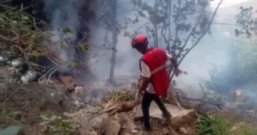 Telemundo executive among those killed in Kenya helicopter crash