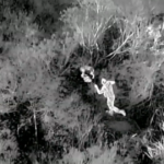 How drones are revolutionizing the search for lost pets