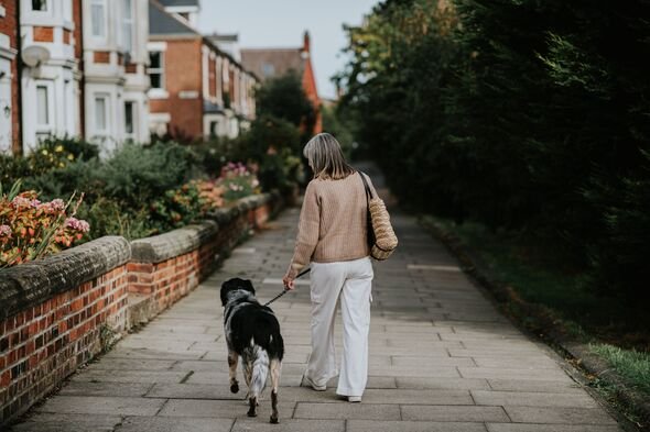 Dog experts settle debate on how much you should walk your dog