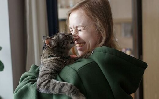 Cat owners urged to remove 5 items from home – they're toxic