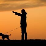 Dog owners issued urgent advice as rare solar eclipse hits UK during evening walks