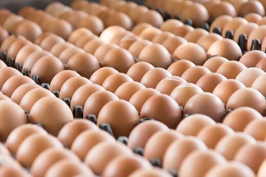 Egg warning for UK shoppers as tiny mark could help avoid salmonella