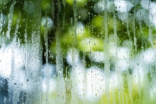 The £1 kitchen staple that could help prevent mould around windows