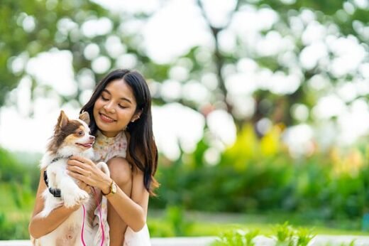 Don't pick up dog in the park – trainer says it causes major issue