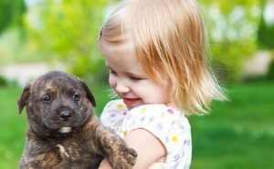 Dog name that was popular 56 years ago making a comeback in the UK