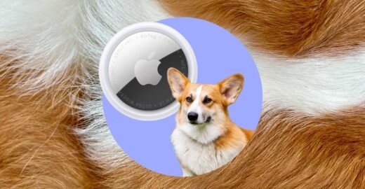 How I track my corgi with an Apple AirTag