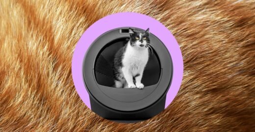 Whisker’s AI-powered litter robot thinks my cats swapped bodies