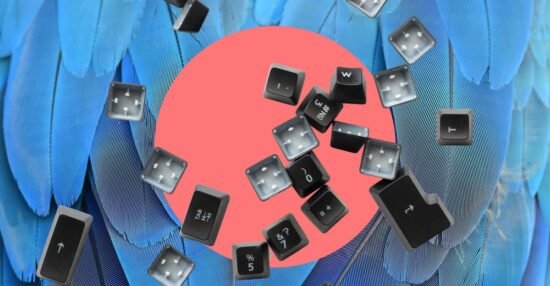My parrot ate my keyboard
