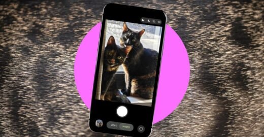 How to take better photos of your pets