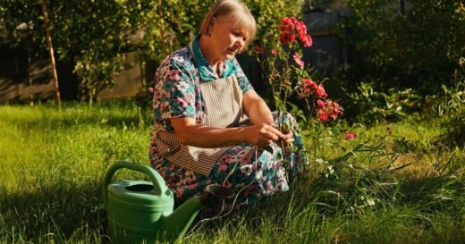 Plants stay alive while you’re away with simple watering method