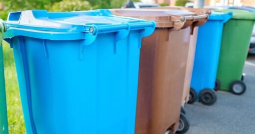 Your legal rights explained if a neighbour steals your bin