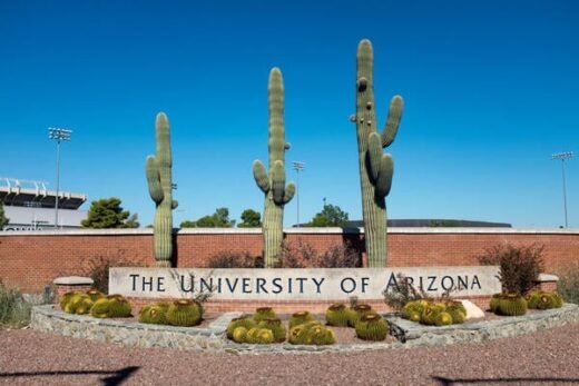 Arizona Partners With Tribal Nation on New Med School Campus