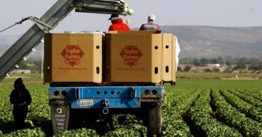 Cyclospora outbreak tied to iceberg lettuce now linked to 15 states, CDC says