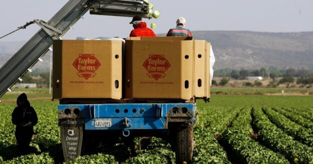 Cyclospora outbreak tied to iceberg lettuce now linked to 15 states, CDC says