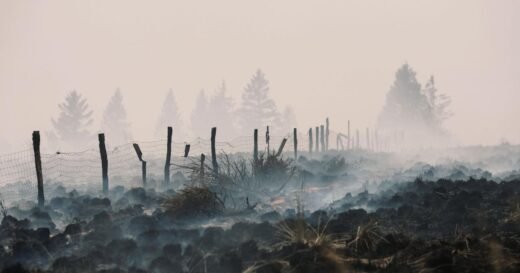 European wildfires expose, detonate buried bombs and mines from past wars