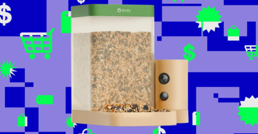 Birdfy’s smart bird feeder is on sale for just $60