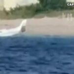 23-year-old pilot pulls off crash landing near busy Florida beach