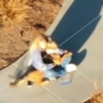Southern California city deploys drone to track down lost pets