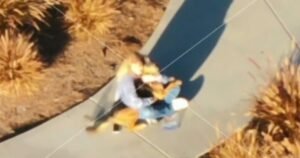 Southern California city deploys drone to track down lost pets