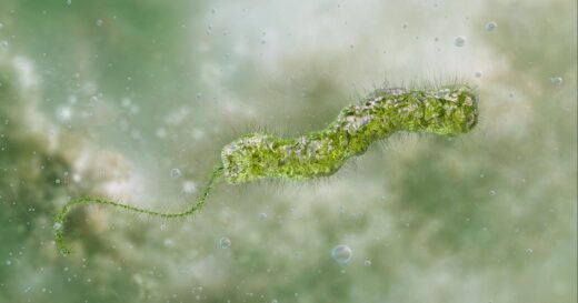 Louisiana reports 5 deaths, 9 cases of flesh-eating bacteria