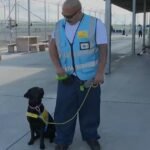 Prison inmates train service dogs, changing lives of people they've never met