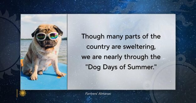 Dog Days of Summer – CBS News