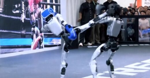 Kickboxing robots showcase skills at Beijing tech show