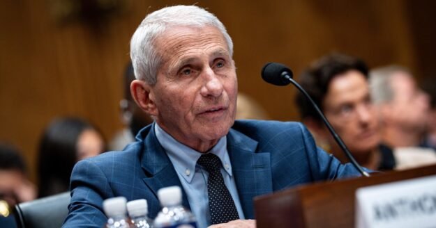 Fauci discussed potential risks, benefits of COVID vaccine for pregnant women in 2021 texts released by GOP senators
