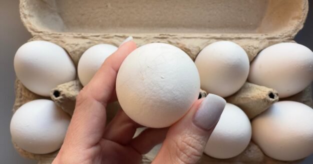 FDA upgrades egg recall linked to salmonella to highest health risk level