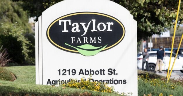 Taylor Farms recalls jalapeno products at Walmart and Target over salmonella risk