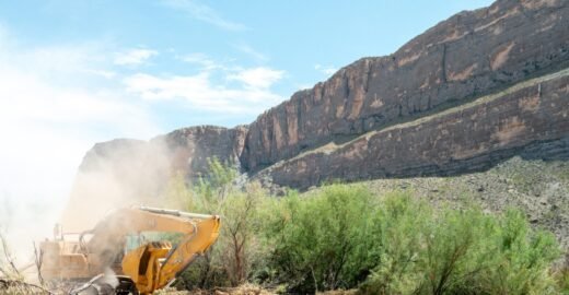 Trump’s border wall push is back — and it’s destroying national parks and 200-year-old trees