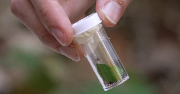 Sculpting Evolution: Using genetic engineering to curb Lyme | 60 Minutes Archive