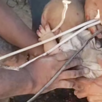 Baby rescued from rubble in Colombia after devastating earthquake kills at least 181