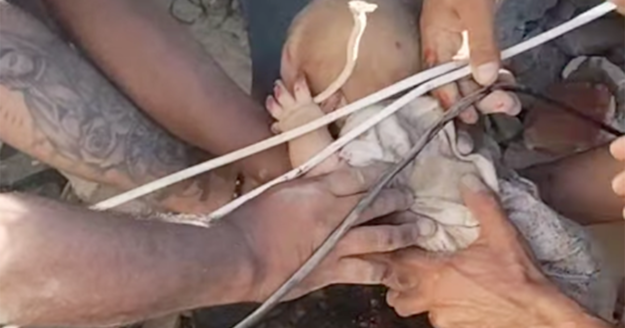 Baby rescued from rubble in Colombia after devastating earthquake kills at least 181