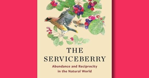 Book excerpt: “The Serviceberry” by Robin Wall Kimmerer